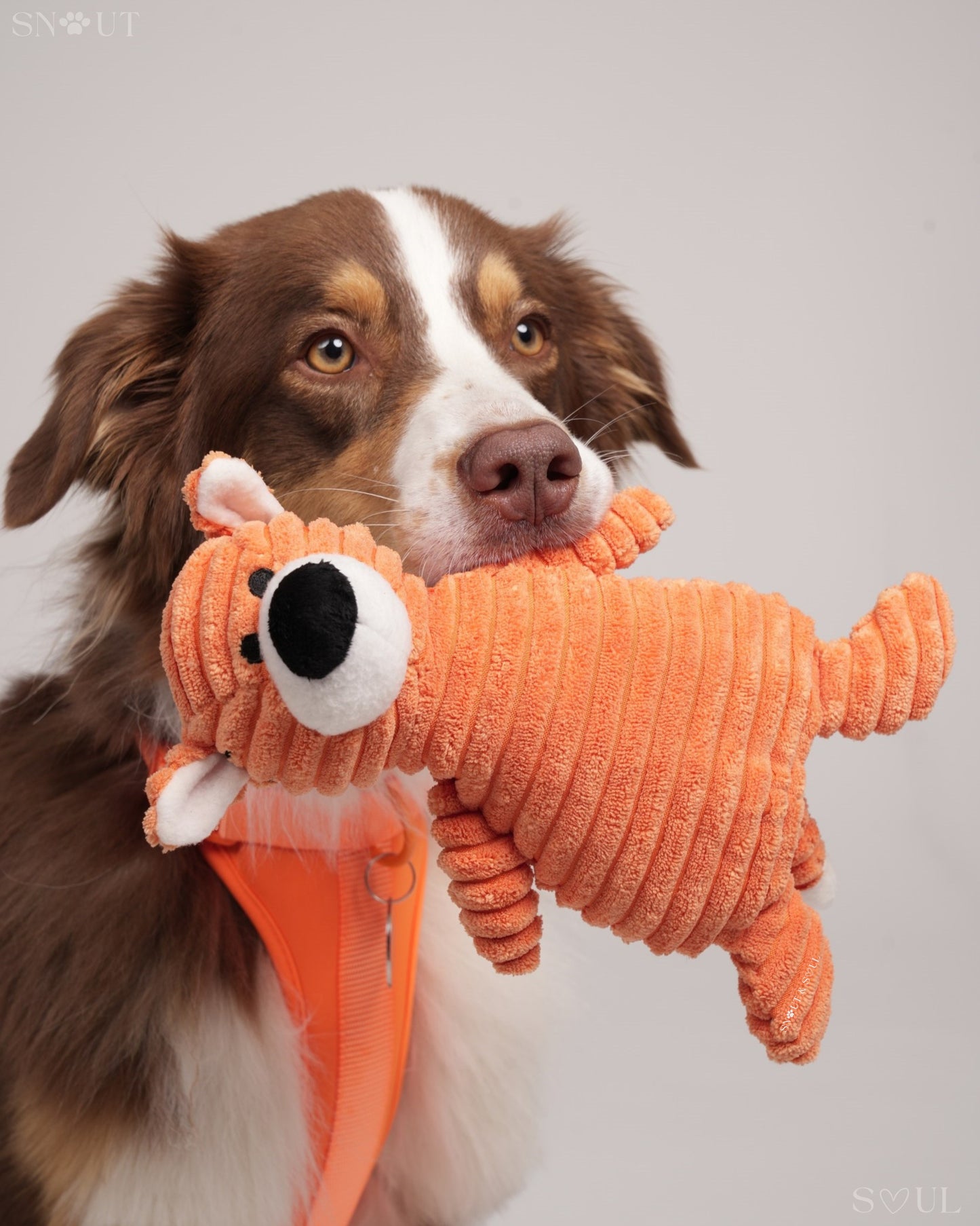 Knuffel Diertje
