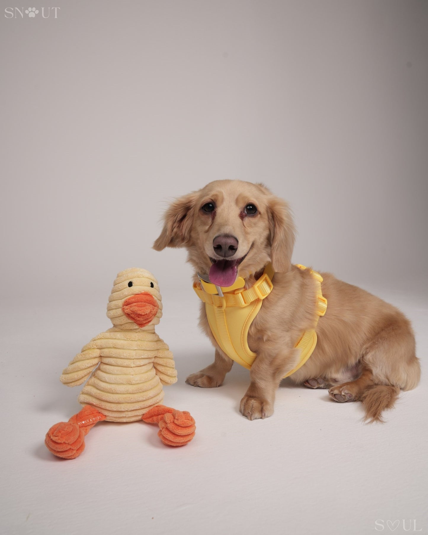 Knuffel Diertje