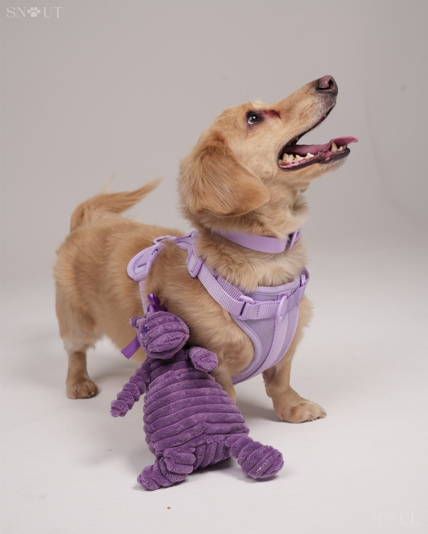 Knuffel Diertje