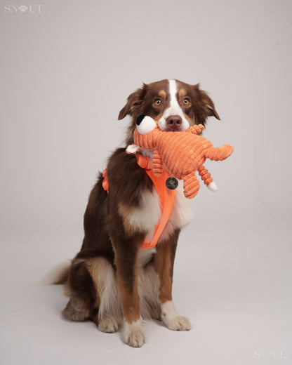 Knuffel Diertje